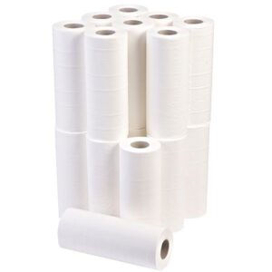 DL_boxof10inchrolls18
