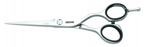 DL_jaguarcj4plus